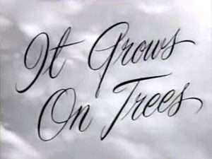 It Grows On Trees dvd